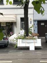 Bild zu gemeldetem Anliegen vom *2025-05-25 09:30:19