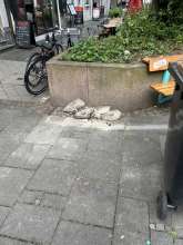 Bild zu gemeldetem Anliegen vom *2025-05-27 09:36:37