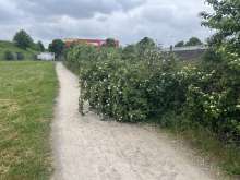 Bild zu gemeldetem Anliegen vom *2025-05-18 09:30:04
