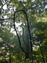 Bild zu gemeldetem Anliegen vom *2025-05-21 12:27:25
