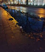 Bild zu gemeldetem Anliegen vom *2025-05-18 16:58:27