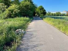 Bild zu gemeldetem Anliegen vom *2025-05-21 06:29:05