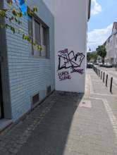 Bild zu gemeldetem Anliegen vom *2025-05-17 12:01:55