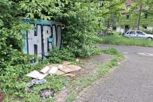 Bild zu gemeldetem Anliegen vom *2025-05-05 19:12:22