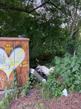 Bild zu gemeldetem Anliegen vom *2025-05-18 18:32:44