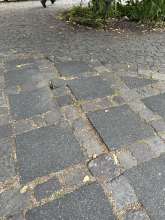 Bild zu gemeldetem Anliegen vom *2025-05-22 12:28:05