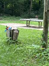 Bild zu gemeldetem Anliegen vom *2025-05-23 06:35:06