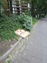 Bild zu gemeldetem Anliegen vom *2025-05-27 10:56:35