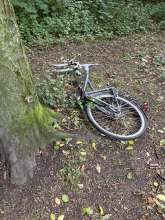 Bild zu gemeldetem Anliegen vom *2025-05-29 09:33:01