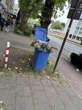 Bild zu gemeldetem Anliegen vom *2025-05-29 12:31:22