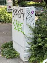 Bild zu gemeldetem Anliegen vom *2025-05-31 10:22:32
