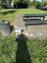 Bild zu gemeldetem Anliegen vom *2025-05-14 06:29:56