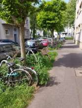 Bild zu gemeldetem Anliegen vom *2025-05-18 15:27:28