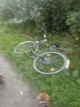 Bild zu gemeldetem Anliegen vom *2025-06-21 08:40:20