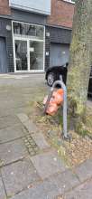 Bild zu gemeldetem Anliegen vom *2025-06-07 21:32:06