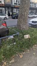 Bild zu gemeldetem Anliegen vom *2025-06-14 06:38:31