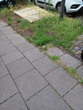 Bild zu gemeldetem Anliegen vom *2025-06-06 09:29:33