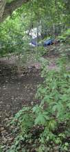 Bild zu gemeldetem Anliegen vom *2025-06-06 12:28:44