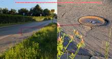 Bild zu gemeldetem Anliegen vom *2025-06-30 09:30:18