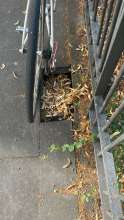 Bild zu gemeldetem Anliegen vom *2025-06-30 12:29:44