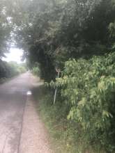 Bild zu gemeldetem Anliegen vom *2025-06-01 13:50:02