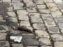 Bild zu gemeldetem Anliegen vom *2025-06-07 13:08:26