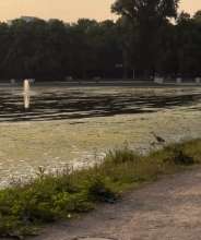 Bild zu gemeldetem Anliegen vom *2025-06-22 21:27:54