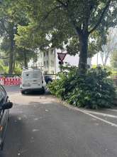 Bild zu gemeldetem Anliegen vom *2025-06-23 12:31:31