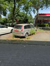 Bild zu gemeldetem Anliegen vom *2025-06-22 12:28:18