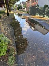 Bild zu gemeldetem Anliegen vom *2025-06-26 06:33:33