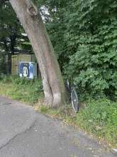 Bild zu gemeldetem Anliegen vom *2025-06-01 09:28:44