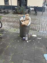 Bild zu gemeldetem Anliegen vom *2025-06-14 17:38:38