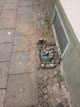 Bild zu gemeldetem Anliegen vom *2025-07-07 15:27:23