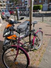Bild zu gemeldetem Anliegen vom *2025-07-05 11:01:56