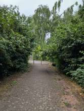 Bild zu gemeldetem Anliegen vom *2025-07-09 15:30:14