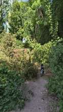 Bild zu gemeldetem Anliegen vom *2025-07-05 12:09:06