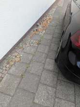 Bild zu gemeldetem Anliegen vom *2025-07-11 15:30:14