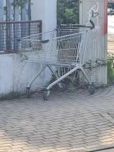 Bild zu gemeldetem Anliegen vom *2025-07-22 09:29:57