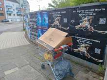 Bild zu gemeldetem Anliegen vom *2025-07-15 06:28:15