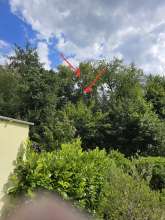 Bild zu gemeldetem Anliegen vom *2025-07-10 15:29:53