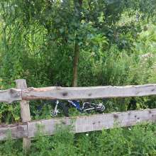 Schrottfahrrad in abgezäunter Pflanzzone