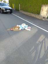 Bild zu gemeldetem Anliegen vom *2025-07-04 06:34:06