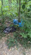 Bild zu gemeldetem Anliegen vom *2025-07-13 06:31:34