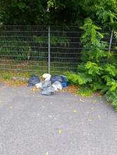Bild zu gemeldetem Anliegen vom *2025-07-31 09:32:16