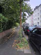 Bild zu gemeldetem Anliegen vom *2025-07-27 11:49:21