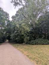 Bild zu gemeldetem Anliegen vom *2025-07-07 15:27:23