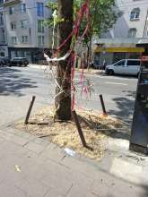 Bild zu gemeldetem Anliegen vom *2025-07-03 12:46:05