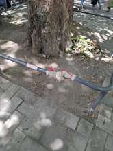 Bild zu gemeldetem Anliegen vom *2025-07-03 12:29:46