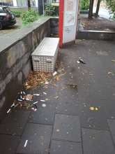 Bild zu gemeldetem Anliegen vom *2025-07-07 06:34:42