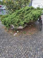 Bild zu gemeldetem Anliegen vom *2025-07-11 06:32:56